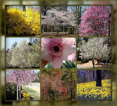 Blue Eyed Ennis: April Rise Fourth Sunday Lent 2011 Healing of Blind Man At  Pool of Siloam