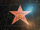 Image result for hollywood walk of shame