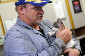 Cat tale has happy ending