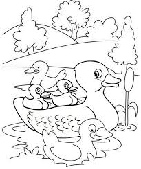 Cute Duck And Ducklings On The Lake Coloring Page Farm Coloring Pages Dinosaur Coloring Pages Bird Coloring Pages