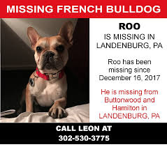 An adoption fee for a french bulldog will usually be a few hundred dollars, which helps to cover the. Lost French Bulldog In Landenburg Pa French Bulldog Rescue Network Facebook