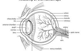 A Overview Of Ocular Histoplasmosis