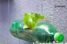 We did not find results for: Semak Imbas Kraf Dari Botol Plastik