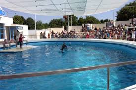 Vand vila in constanta, zona centrala casa de cultura, d+p+e+m, cu o suprafata construita casa este localizata in apropierea restaurantului zorile, sala sporturilor, casa casatoriilor constanta. The Dolphinarium Tourist Spots Constanta