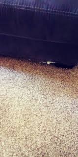 As soon as you walk through the door, you'll notice their relaxed. Biglots Reviews 114 Reviews Of Biglots Com Sitejabber
