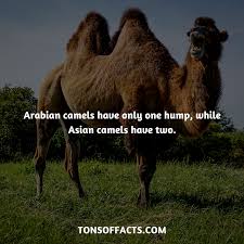 Its when a guys pants are just way too tight. Pin On China Silk Road