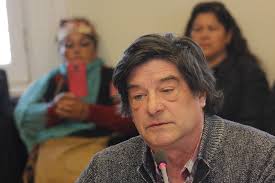 Vukusic pedirá a la Fiscalía investigar actuar de dirigenta social