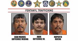 Image result for Icuria