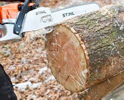 Gerade in den sommermonaten steigt die lust, sich im freien aufzuhalten. Kettensagenkunst Ein Holzstern Aus Dem Baumstamm Mein Schoner Garten