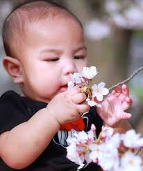 Fundraiser for Eleazar Sison by Jill Crooks : Aiden in Heaven