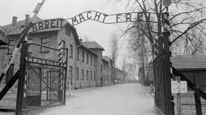 Image result for auschwitz