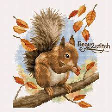 Easy counted cross stitch chart, xstitch, punto croce shop craft supplies, yarn and free patterns at lovecrafts. Squirrel Free Cross Stitch Pattern By Jackie Beau Cross Stitch Animals Cross Stitch Animal Cross Stitch Patterns
