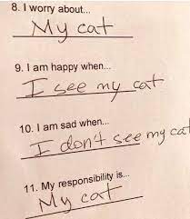 I don't know why i find this corny joke so funny. 30 Funny Cat Memes That Will Make You Laughing So Hard Lovely Animals World Funny Cat Memes Laughing So Hard Cat Memes