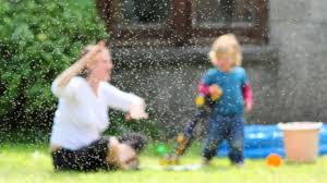 The most common species of midges we find in our houses is that of drosophila melanogaster, also known as fruit or vinegar fly or vinegar. How To Get Rid Of Aquatic Midge Flies In Freshwater Ponds