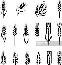 60 Top Rye Grain Stock Illustrations Clip Art Cartoons Icons Getty Images Wheat Tattoo Wheat Design Illustration