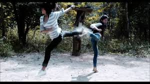Check spelling or type a new query. The Kick 2011 Kung Fu Kingdom