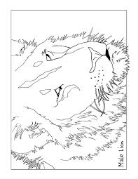Come check out this free coloring page from marlin, nemo and dory! Lion Coloring Page For Kids Free Printable Picture