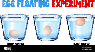Fresh Egg Test High Resolution Stock Photography And Images Alamy