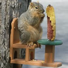 Bistro Table Recycled Squirrel Feeder In 2020 Squirrel Feeder Squirrel Feeder Diy Squirrel Feeders