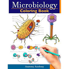 With the kaplan medical anatomy coloring book, students will benefit from realistic illustrations, key word reviews, explanatory paragraphs, and the the kaplan medical anatomy coloring book offers medical students the opportunity to learn by coloring detailed sketches of systems of the body and. Buy Microbiology Coloring Book Incredibly Detailed Self Test Color Workbook For Studying Perfect Gift For Medical School Students Physicians Chiropractors Paperback April 28 2021 Online In Turkey 1914207548