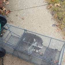 We offer a completely discreet service in an unmarked van because at defender pest control we believe your privacy is paramount!pic.twitter.com/dpexyzs4my. Defender Pest Control 13 Photos Pest Control Cedar Lake In Phone Number