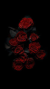Save online · shop by color · free shipping · no sales t Iphone Wallpaper Musa Akkaya Wallpaper Wallpaper Iphonewallpaper Android Wallpaper Ip Red Roses Wallpaper Wallpaper Iphone Roses Flower Phone Wallpaper