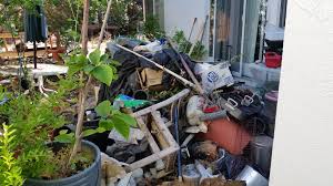 Do you have several items of household junk or old furniture that has accumulated over the years just hanging around in the garage, attic or basement or your shed. Junk Removal Saves A Backyard In Dublin California West Coast Junk