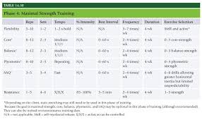 Nasm Study Guide Chapter 7 Flexibility Training Concepts