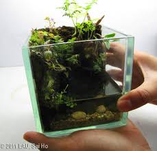 Gulliver S Hands And His Travel To Lilliput Biotop Paludarium Deco Plantes Jardin Aquatique