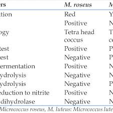 Morphological And Biochemical Characteristics Of M Roseus