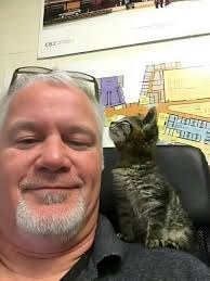 Rescuing a Kitten from Highway Cruelty