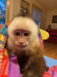 Meeting a helpful fellow at San Diego Comic Con