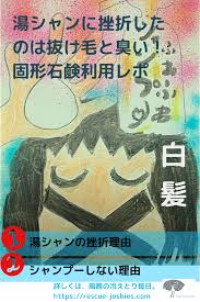 冷えとりと美容 どうする 白髪 洗髪しないという選択2 冷えとり毎日レスキュー女子es 湯シャン 健康になる 美容