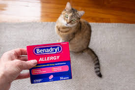 Many guinea pigs will take the tablets like a treat and eat them, or they can be crushed and sprinkled on vegetables or pellets. Benadryl For Cats