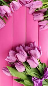 Flowers Wallpaper For Phone Rose Backgrounds 27 Ideas Best Flower Wallpaper Flower Phone Wallpaper Flower Wallpaper