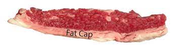 Fat Cap Up Or Down