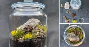 Follow these easy instructions to make a masterpiece in less than an hour. Making A Diy Terrarium Be Well