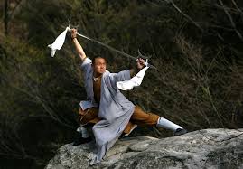 تعريف طابعه hp 1102 : 49 Shaolin Kung Fu Wallpaper On Wallpapersafari
