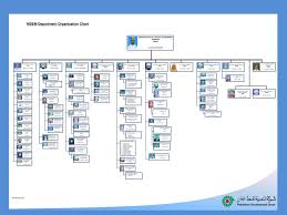Msem Department Organization Chart Ppt Download