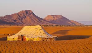 On the back of a camel simulation of survival to cross the desert. Cross The Sahara Desert Camel Optional