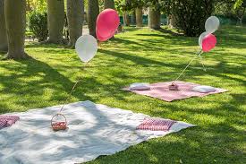 La chica de la casa de caramelo: El segundo cumpleaños de Miranda: picnic  party