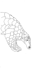 Pangolin Issue 1 David Cundall