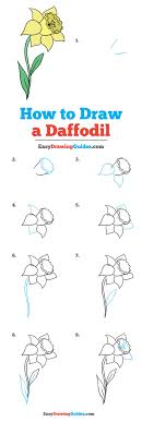 How To Draw A Daffodil Really Easy Drawing Tutorial They are native to portugal and spain, and now grow abundantly in the united states and all over europe. how to draw a daffodil really easy