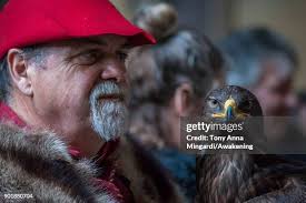 3,957 Heritage Eagles Stock Photos, High-Res Pictures, and Images