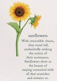 Pin By Sandyaguallo On Garden Sunflower Quotes Flower Quotes Spiritual Symbols