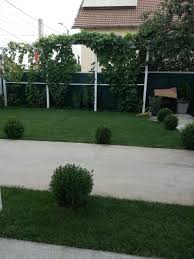Check spelling or type a new query. Vila Marius Prices Hotel Reviews 2 Mai Romania Tripadvisor