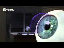 Dr Natalie Wieand Orthokeratology Lasik Vision Health Ortho