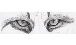 To draw a cartoon cat, draw an oval for the body and a circle for the head, including a cross on the circle to guide you when drawing the face. How To Draw Cat Eyes That Look Real Craftsy