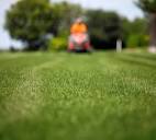 Kansas City Lawn Care and Landscaping Services » Benjamin Lawn ...