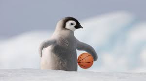You will have memories because of what we did back then when we were new at this why had this penguin come to mean so much? Penguin I Love You Quotes Quotesgram